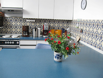 Küche  Ferienwohnung Murnau am Staffelsee